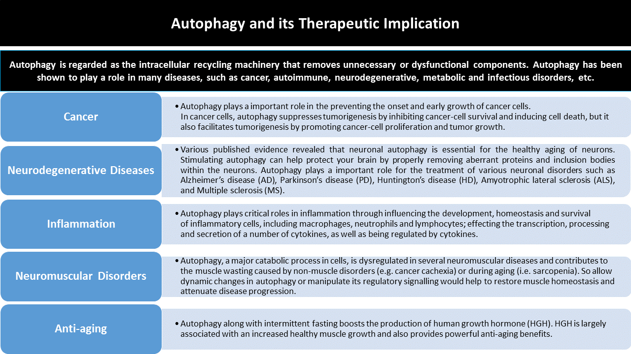 Autophagy and its Therapeutic Implication