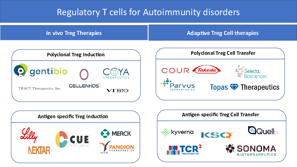 Therapeutic Approaches for Targeting T Regulatory Cells in Autoimmunity