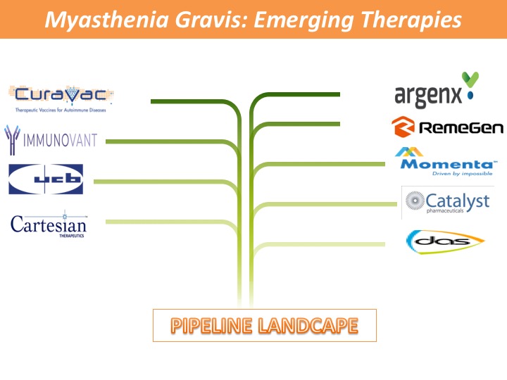 Myasthenia Gravis: Emerging Therapies